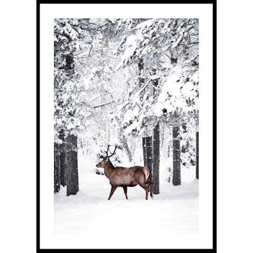 Poster Gallerix Deer In Snow