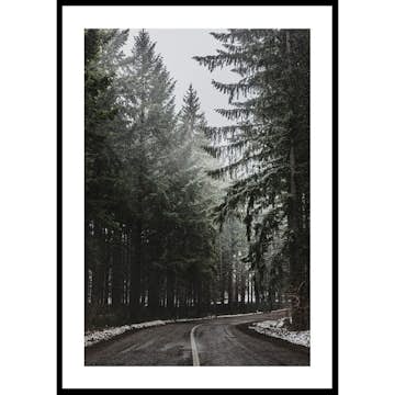 Poster Gallerix Deep Forest Road