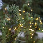 Ljusslinga Star Trading Start System Decor 100L