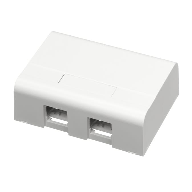 Montagebox Schneider Electric 2XRJ45 Vit