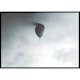 Poster Gallerix Balloon In Sky Ceiling