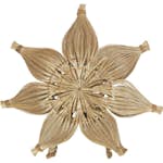 Bordsstjärna PR Home Agnes Natur