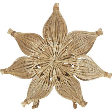 Bordsstjärna PR Home Agnes Natur