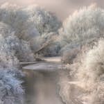 Tapet Idealdecor Frozen Forrest