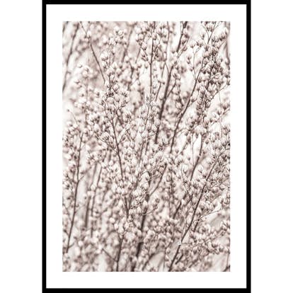 Poster Gallerix Boho Botanical