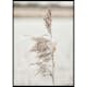 Poster Gallerix Boho Dried In Nature No7