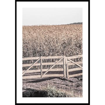 Poster Gallerix Dried Fields