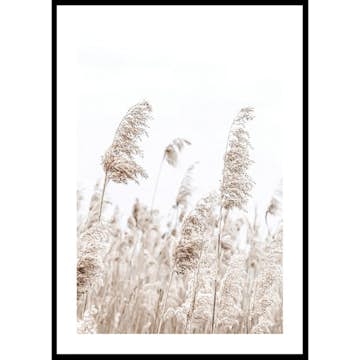 Poster Gallerix Boho Dried In Nature No5