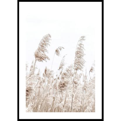 Poster Gallerix Boho Dried In Nature No5