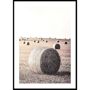 Poster Gallerix Hay Bale