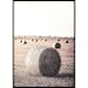 Poster Gallerix Hay Bale