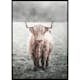 Poster Gallerix Highland Cow