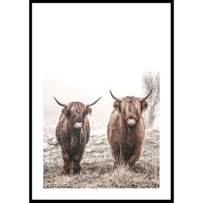 Poster Gallerix Scottish Highlanders No3
