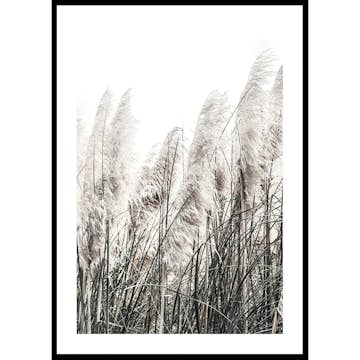 Poster Gallerix Wild Grass Tall