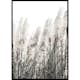 Poster Gallerix Wild Grass Tall