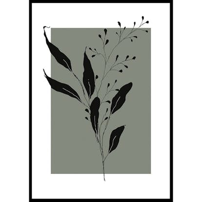 Poster Gallerix Botanical Sketch No1