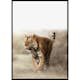 Poster Gallerix Tiger Walk