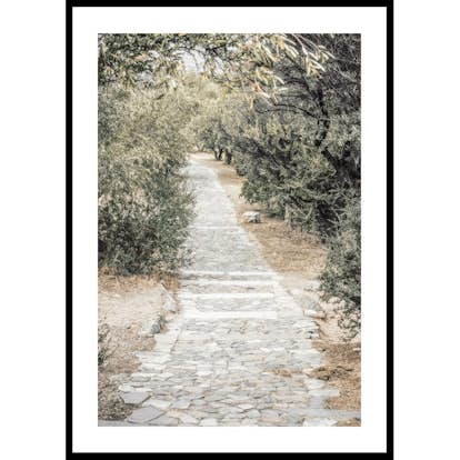 Poster Gallerix Olive Tree Garden