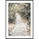 Poster Gallerix Olive Tree Garden