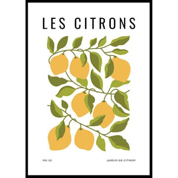 Poster Gallerix Les Citrons