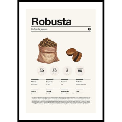 Poster Gallerix Robusta Coffee Beans