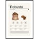 Poster Gallerix Robusta Coffee Beans