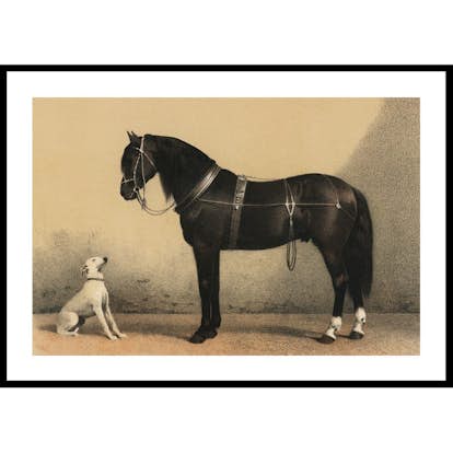 Poster Gallerix Horse And Hound