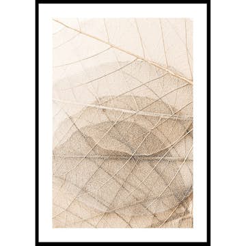 Poster Gallerix Layers Of Thin Leaves