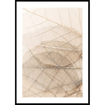 Poster Gallerix Layers Of Thin Leaves