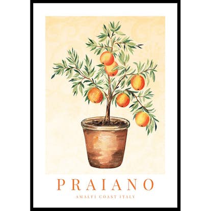 Poster Gallerix Praiano Amalfi Oranges