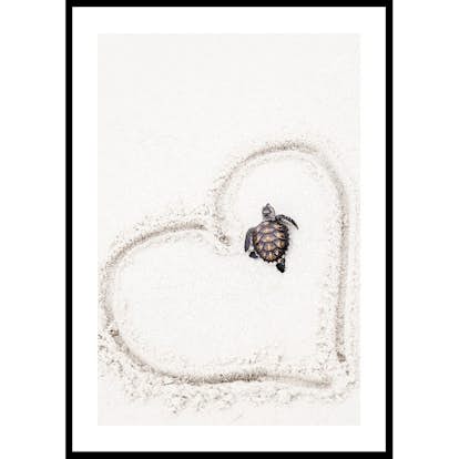 Poster Gallerix Baby Turtle On Beach