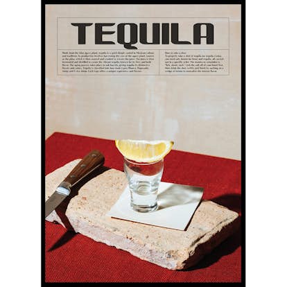 Poster Gallerix This Is Tequila Shot