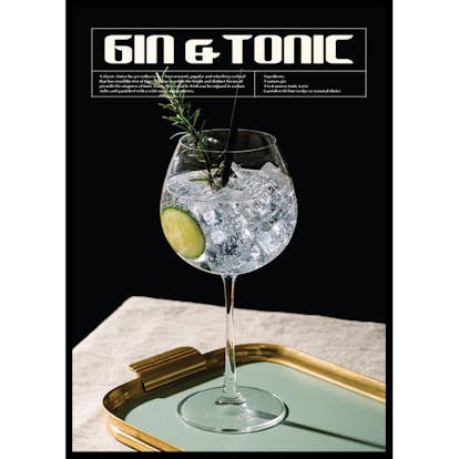Poster Gallerix This Is Gin & Tonic Cocktail