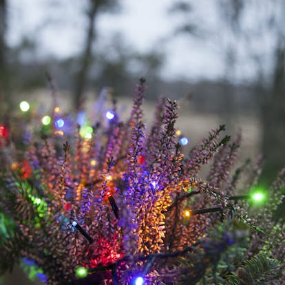 Ljusslinga Star Trading Serie MicroLED Svart