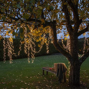 Ljusslinga Star Trading Shiny Warm White