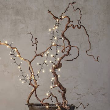 Ljusslinga Star Trading Shiny Warm White Utomhus 5,5 meter 80 LED-lampor