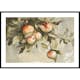 Poster Gallerix Study Of Apples