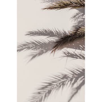 Posters Venture Home Shadow Beige