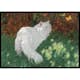 Poster Gallerix White Cat And Butterflies By Arthur Heyer