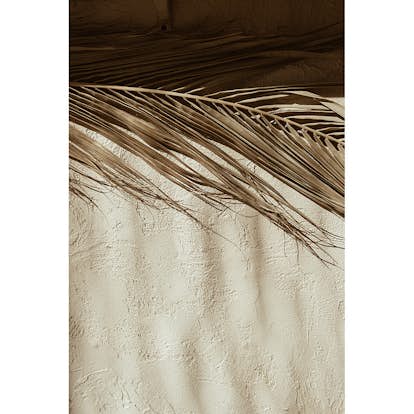 Posters Venture Home Dessert Beige