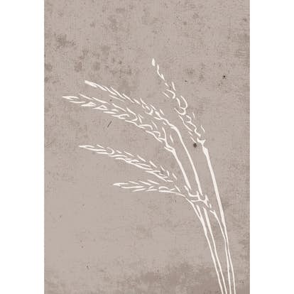 Posters Venture Home Seeds Beige