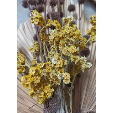 Posters Venture Home Bouquet Grön/gul