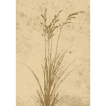 Posters Venture Home Plant Art Beige
