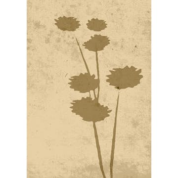 Posters Venture Home Flower Art Beige