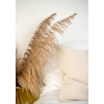 Posters Venture Home Bohemian Beige