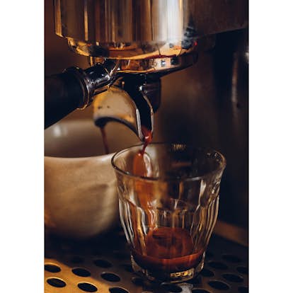 Posters Venture Home Barrista Brun
