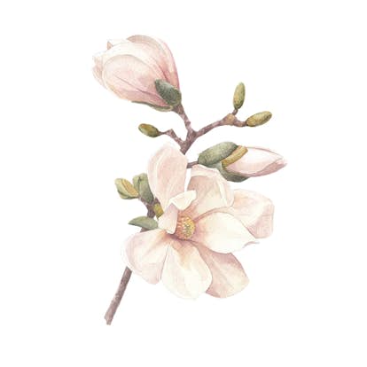 Posters Venture Home Hand Made 50x70 Rosa/vit