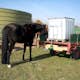 Anslutningsslang Suevia till IBC Container 1000 liter