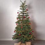 Plastgran Star Trading Edane 210 cm