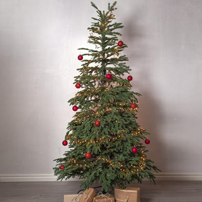 Plastgran Star Trading Edane 210 cm